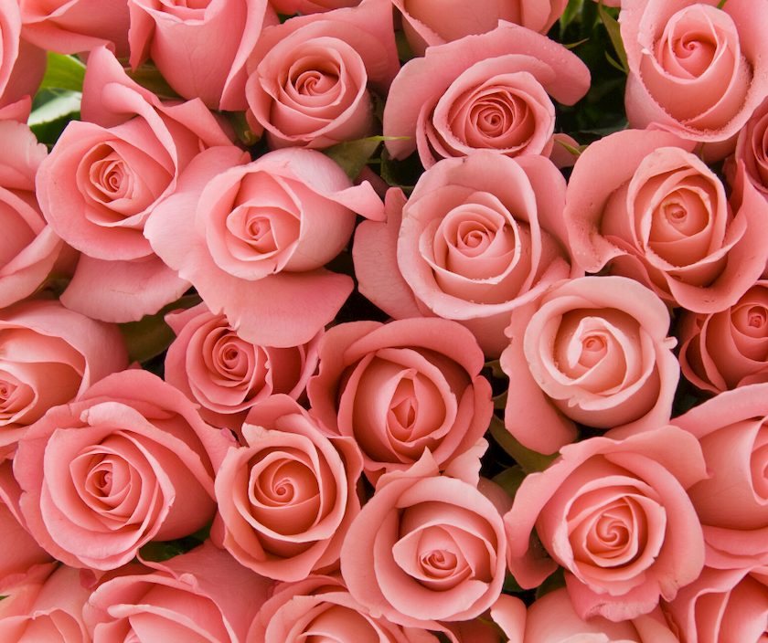 Healthy Skin: The Benefits of Roses